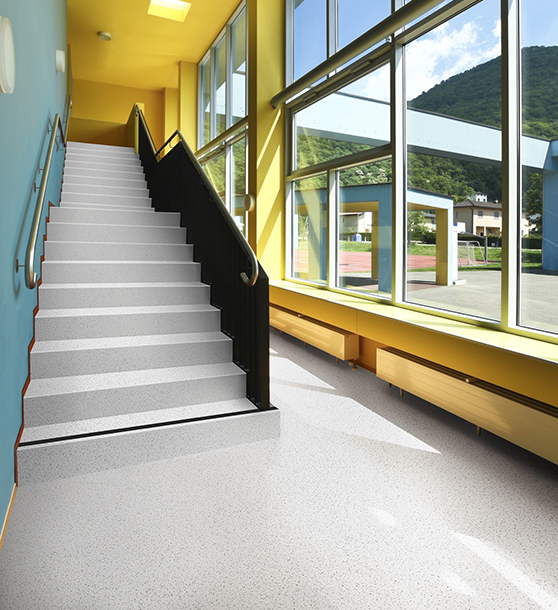 IS496_C05 Buffalo / IS496_C05S Buffalo